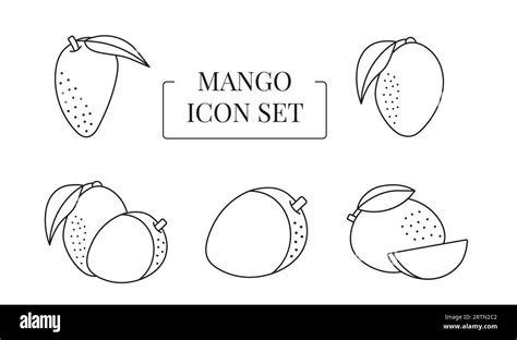 Mango Fruit Whole And Half Cut Into Slices Set Of Line Icons In