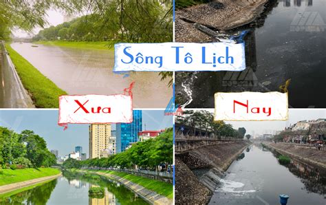 Sông Tô Lịch và những dự án hồi sinh