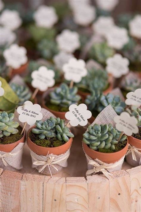 Succulent Wedding Favors Wedding Favours Diy Wedding Wedding Party