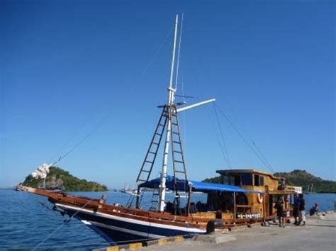 Bajo Dive Club Labuan Bajo All You Need To Know Before You Go