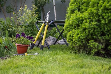 Must-Have Garden Loppers in Australia for 2024 | Ultimate Backyard