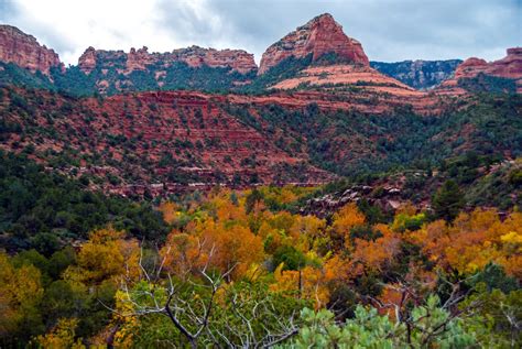 5 Places to See Fall Colors in Arizona - PHOENIX magazine