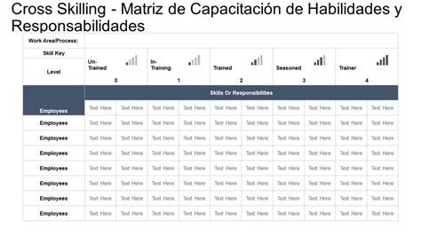 Las Mejores Plantillas De Matriz De Capacitaci N Para Brindar Un