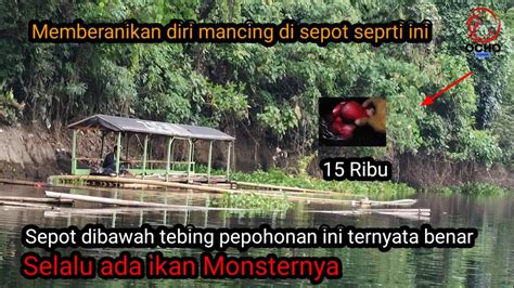 Akhirnya Ikan Monster Ter Evakuasi Juga Di Sepot Bawah Tebing Yang