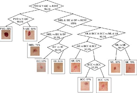 Figure From Edinburgh Research Explorer Classification Of Ten Skin