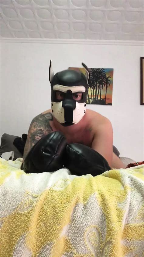 Puppy Play Working Ass An Plug Spanish Gay Amateur Amateur Porn XHamster