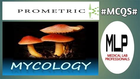 Prometric Practice Mcqs Of Mycology Part Youtube