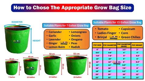 Grow Bag Size Comparison Suitable Plants According To Size YouTube