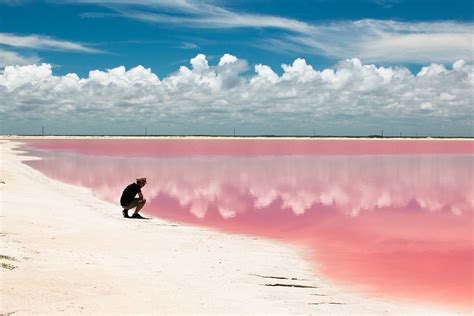 Las Coloradas A Guide To Mexicos Magical Pink Lagoon