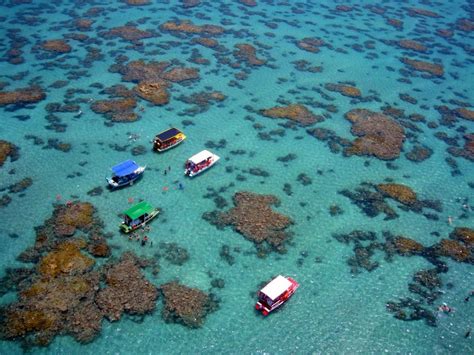 5 Piscinas Naturais Para Apaixonar Pelo Rio Grande Do Norte