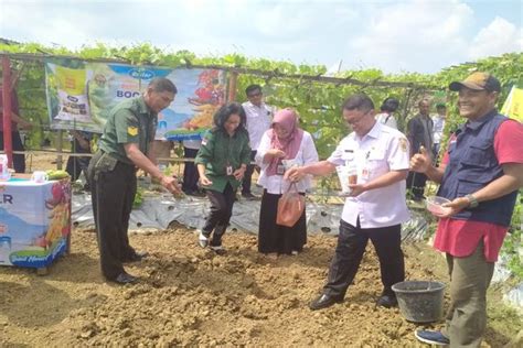 Pemkab Wonogiri Minta Petani Tidak Hanya Andalkan Pupuk Bersubsidi