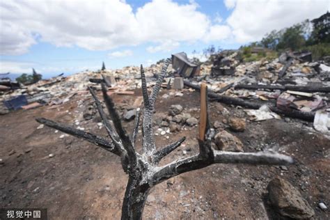 毛伊岛大火已致99人死亡，夏威夷州长：死亡人数将大幅增加 封面新闻