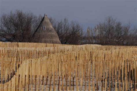 Caorle Fotografie All Oasi ValleVecchia Di VenetoAgricoltura A