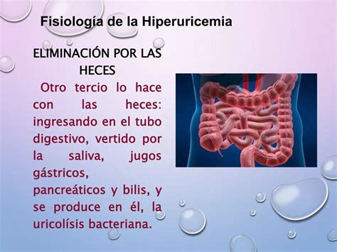 Hiperuricemia Y Gota Ppt