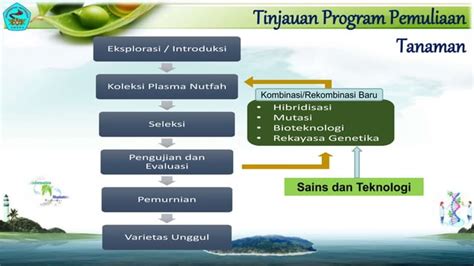 Pemuliaan Tanaman Dan Analisis Genetik Pptx