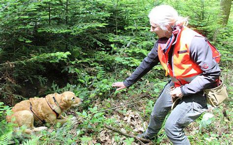 Landkreis Emmendingen Bung F R Kreisj Gervereinigung Im Falle Von