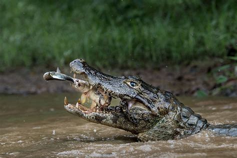 As Melhores Fotografias De Viagem Da National Geographic De