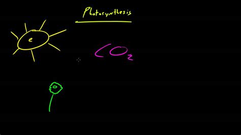 Biology Lecture 30 Autotrophs Vs Heterotrophs Youtube