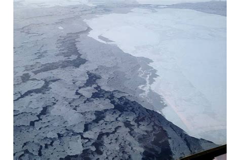 Calculating Your Role In Melting Arctic Sea Ice How The Co2 Emissions