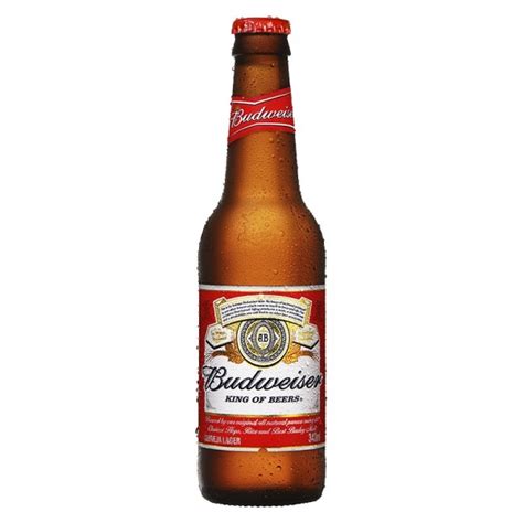 Budweiser Long Neck Floricultura Sp