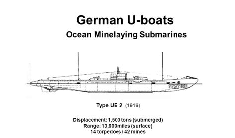 rolfs curious shark laststandonzombieisland
