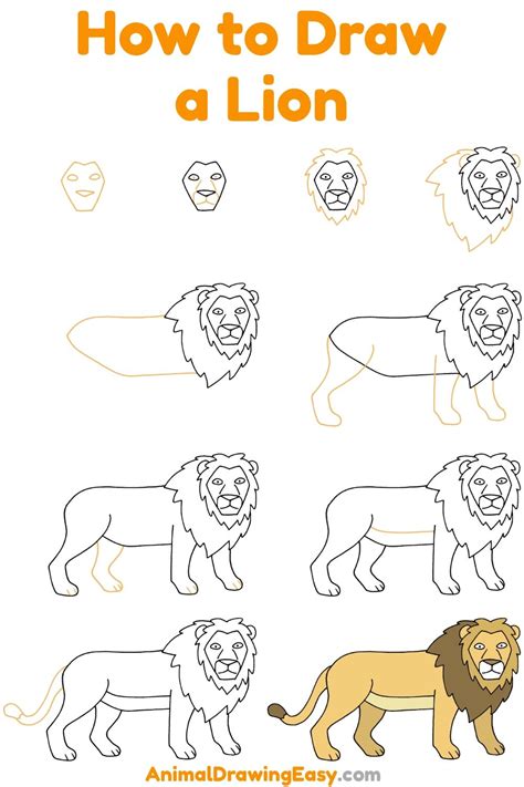 How to Draw a Lion Step by Step | Lion drawing simple, Lion drawing