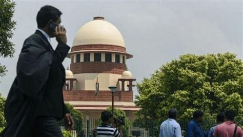 Sc On Freebies Case