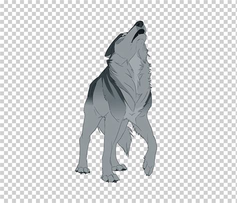 Lobo Gris Dibujo Boceto Hombre Lobo Gris Lobo Dibujo Png Klipartz