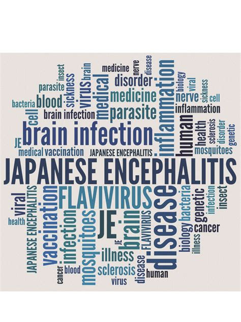 Japanese Encephalitis Signs And Symptoms | MIMS Hong Kong