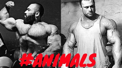 BODYBUILDING MOTIVATION - ANIMAL PLANET 2015 NEW - YouTube
