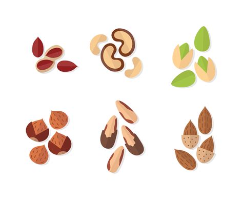 Nuts Vector At Collection Of Nuts Vector Free For