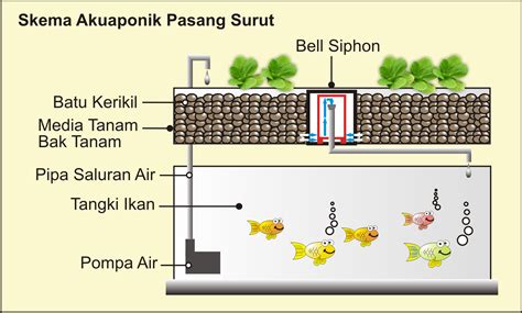 23+ Skema Aquaponik
