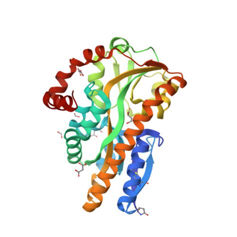 RCSB PDB 4PDD CRYSTAL STRUCTURE OF A TRAP PERIPLASMIC SOLUTE BINDING