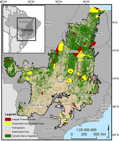 Cerrado Grassland Map