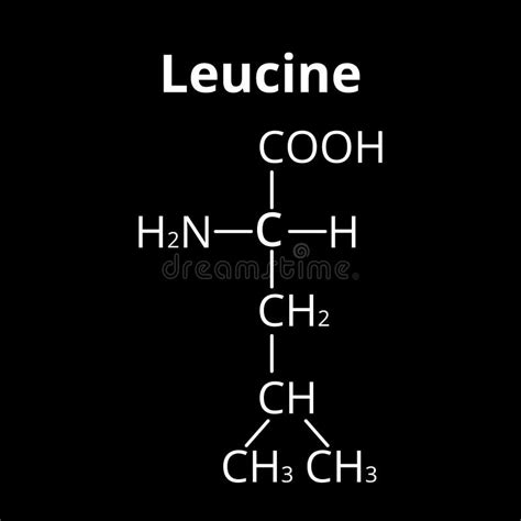 Acide Amin Leucine Formule Mol Culaire Chimique De L Acide Amin