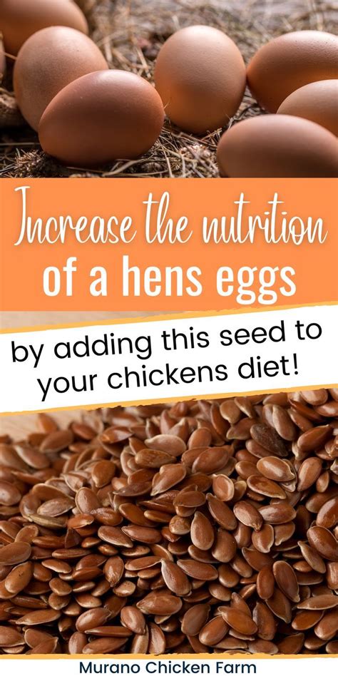 Flax Seeds And Brown Eggs Chicken Feed Diy Chicken Coop Garden