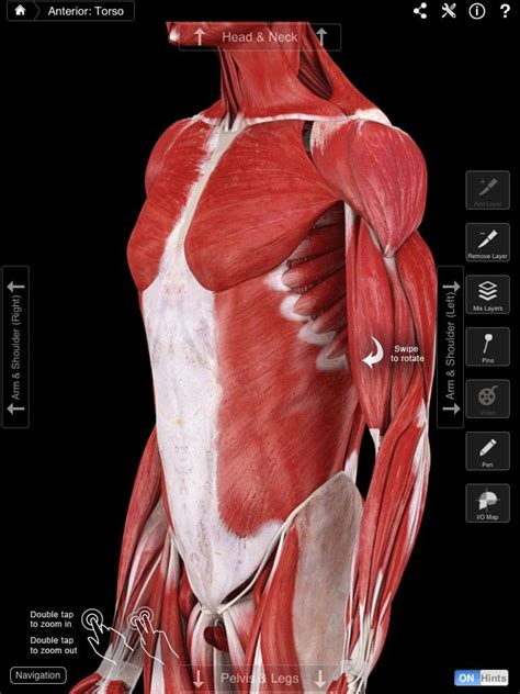 Grey’s Grey’s Anatomy uses Digital Human anatomy browser app, but is it good enough for real ...