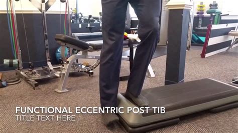 Concentric Eccentric Training Of The Posterior Tibialis Eoua Blog