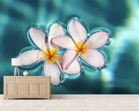 Two Plumeria Blossoms On Water Wall Mural Wallsauce AU Wall Murals