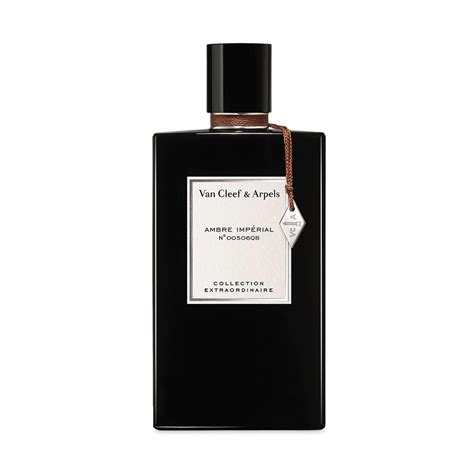 The 10 Best Amber Perfumes to Wear All Season Long | Who What Wear