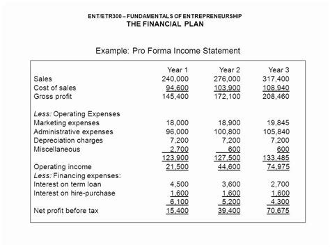 Divine Pro Forma Budget Example Preparation Of The Statement Cash Flows ...