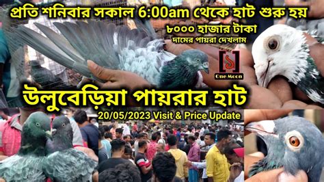 Uluberia Pet Market Current Exotic Pigeon S Price Update At Uluberia