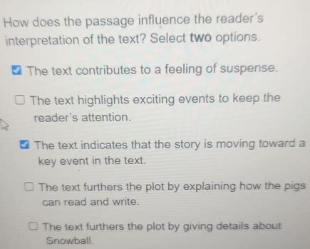 Solved How Does The Passage Influence The Reader S Interpre Algebra