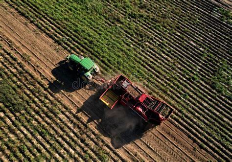 John Deere Tractor With Grimme Se Potato Harvester And Separator