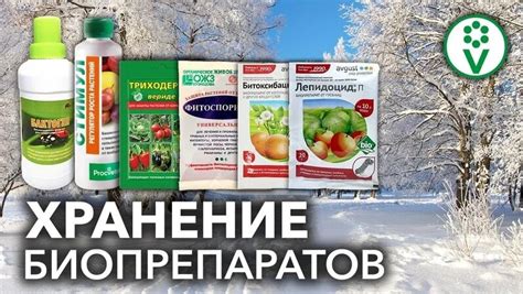 2 Способа Сохранить Биопрепараты Зимой. Фитоспорин, Бактоген и ...