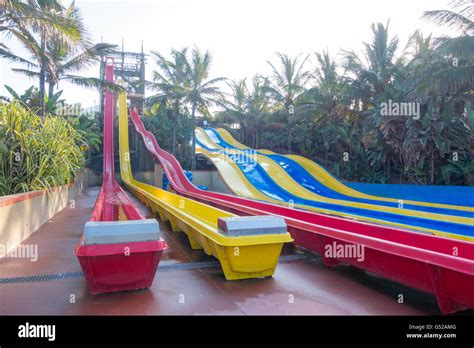 South Africa Kwazulu Natal Durban Water Slides Next To A Palm Tree