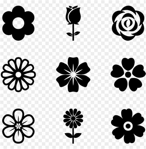 Blossoms Icons Flower Icon Vector Png Image With Transparent