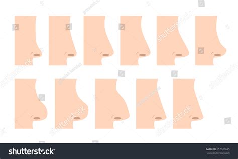 Nose Vector Set Stock Vector (Royalty Free) 657636625 | Shutterstock