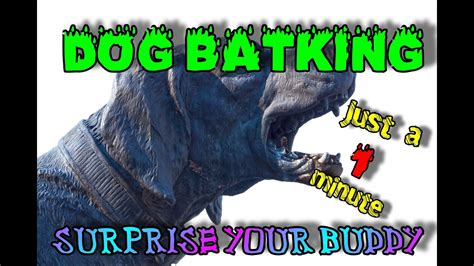 Dog Barking Animal Sound Effects Dog Surprise Video Youtube