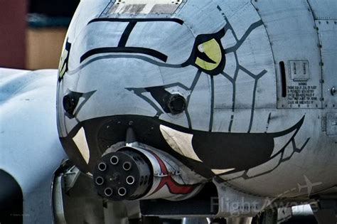 A10 Warthog Nose Art